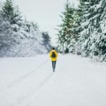 How Habits Shape Daily Success