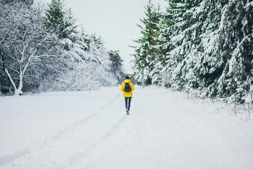 How Habits Shape Daily Success